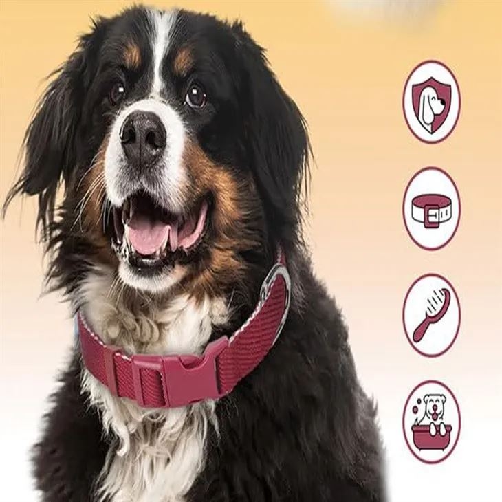 Cotton Dog Collar manufacturers
