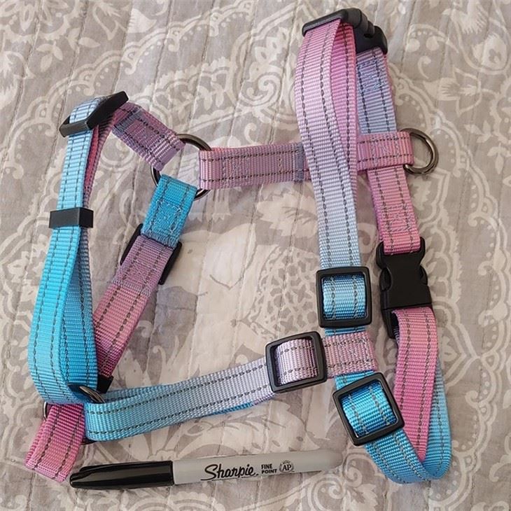 Cute Dog Leash And Harness factory