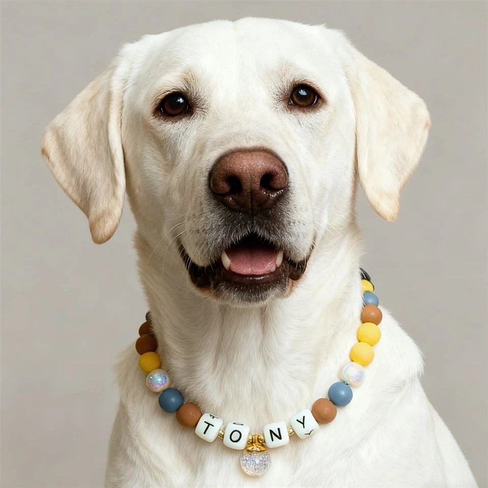 Personalized Silicone Bead Pet Collar suppliers