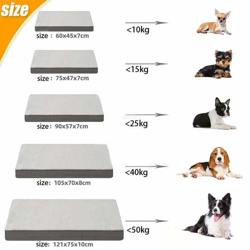raised dog bed